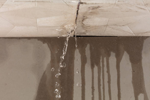 Professional Structural Drying technician working in Black Mountain, NC